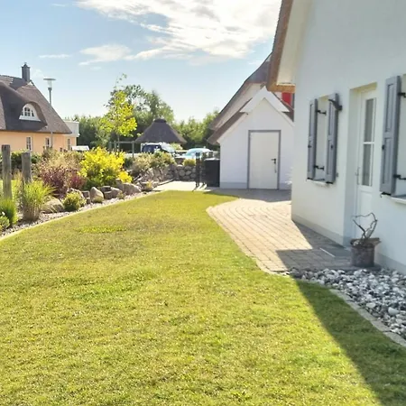Sturmmöwe