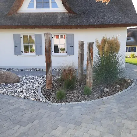 Sturmmöwe Ferienhaus